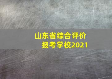 山东省综合评价报考学校2021