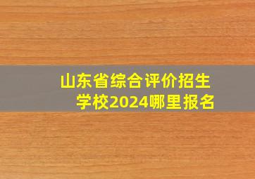 山东省综合评价招生学校2024哪里报名