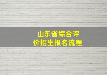 山东省综合评价招生报名流程