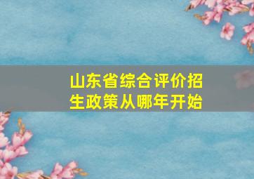 山东省综合评价招生政策从哪年开始