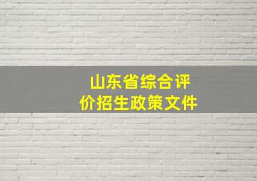 山东省综合评价招生政策文件