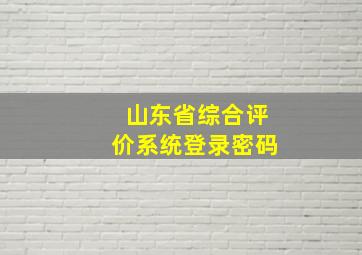 山东省综合评价系统登录密码