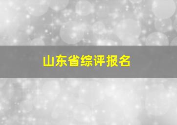 山东省综评报名