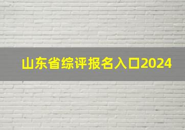 山东省综评报名入口2024