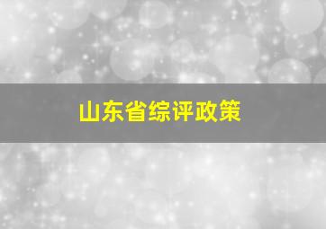 山东省综评政策