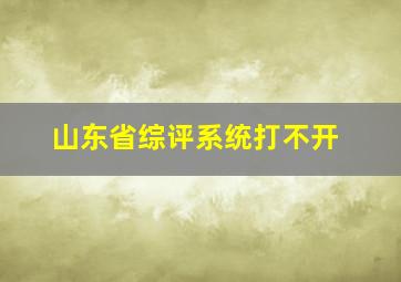 山东省综评系统打不开