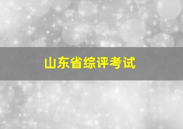 山东省综评考试