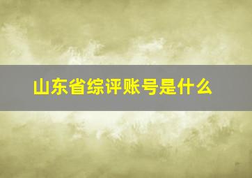 山东省综评账号是什么