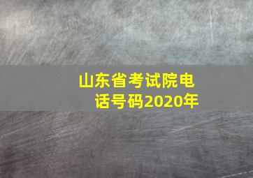 山东省考试院电话号码2020年