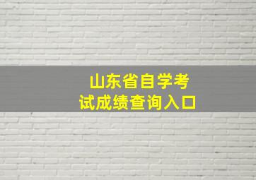 山东省自学考试成绩查询入口