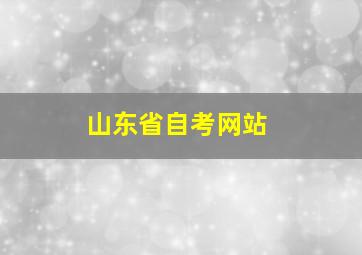 山东省自考网站