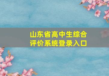 山东省高中生综合评价系统登录入口