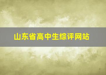 山东省高中生综评网站