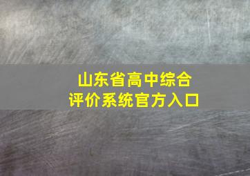 山东省高中综合评价系统官方入口