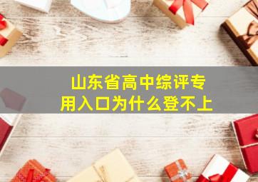 山东省高中综评专用入口为什么登不上