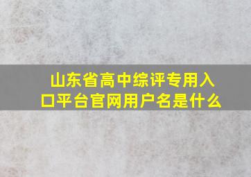 山东省高中综评专用入口平台官网用户名是什么