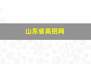 山东省高招网