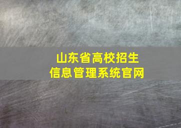 山东省高校招生信息管理系统官网