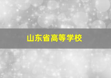 山东省高等学校