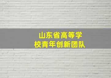 山东省高等学校青年创新团队