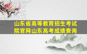 山东省高等教育招生考试院官网山东高考成绩查询