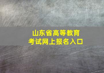 山东省高等教育考试网上报名入口