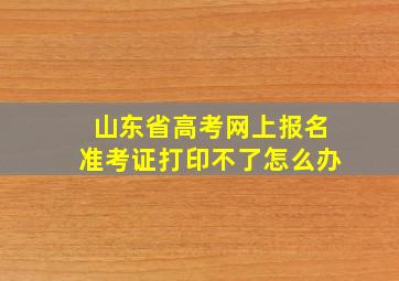 山东省高考网上报名准考证打印不了怎么办