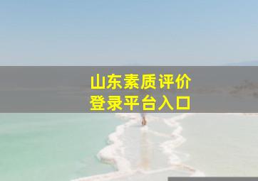 山东素质评价登录平台入口