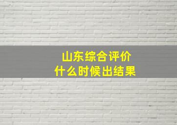 山东综合评价什么时候出结果