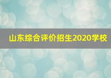 山东综合评价招生2020学校