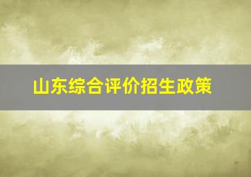 山东综合评价招生政策