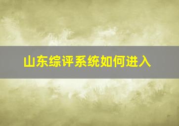 山东综评系统如何进入