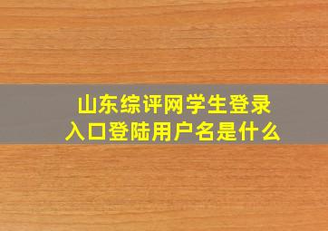 山东综评网学生登录入口登陆用户名是什么