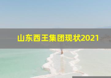 山东西王集团现状2021