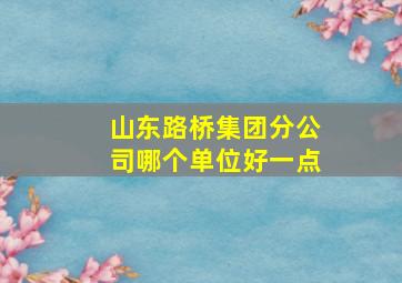 山东路桥集团分公司哪个单位好一点