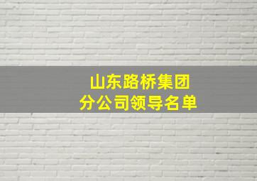 山东路桥集团分公司领导名单