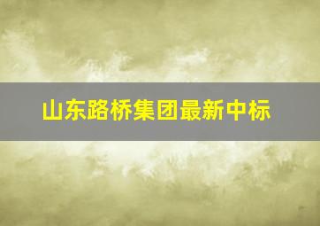 山东路桥集团最新中标