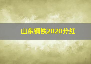 山东钢铁2020分红