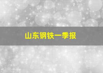 山东钢铁一季报