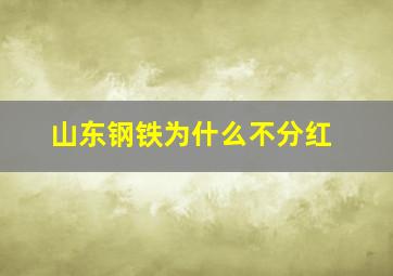 山东钢铁为什么不分红