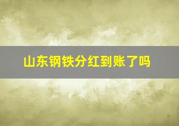 山东钢铁分红到账了吗