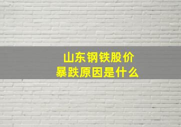 山东钢铁股价暴跌原因是什么