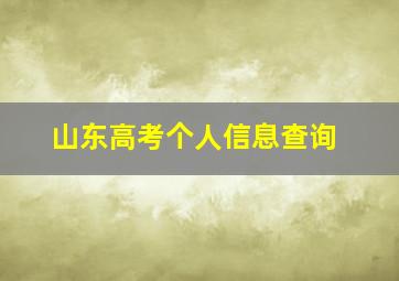 山东高考个人信息查询