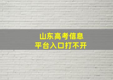 山东高考信息平台入口打不开