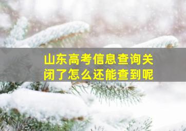 山东高考信息查询关闭了怎么还能查到呢