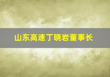 山东高速丁晓岩董事长