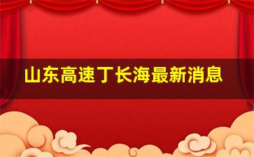 山东高速丁长海最新消息