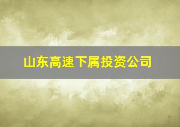 山东高速下属投资公司