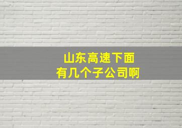 山东高速下面有几个子公司啊