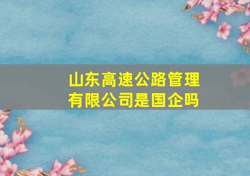 山东高速公路管理有限公司是国企吗